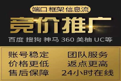 成功企业SEM竞价代运营案例研究
